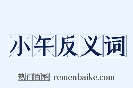 小午反义词是什么意思的图片